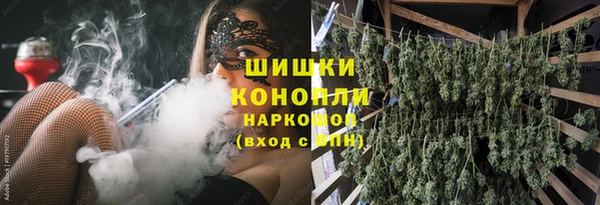 дживик Беломорск