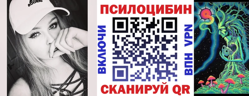 Псилоцибиновые грибы Psilocybe  Нижняя Тура 